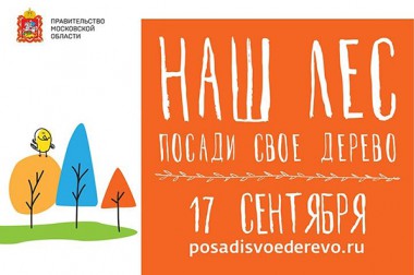 В Городском округе Подольск 17 сентября высадят 2,3 тысячи хвойных деревьев