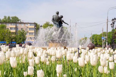 На клумбах Большого Подольска цветут 114 тысяч сортовых тюльпанов