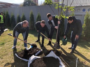 Подведены итоги акции «Наш лес. Посади свое дерево», прошедшей 21 сентября в Городском округе Подольск