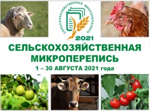 В России началась сельскохозяйственная микроперепись